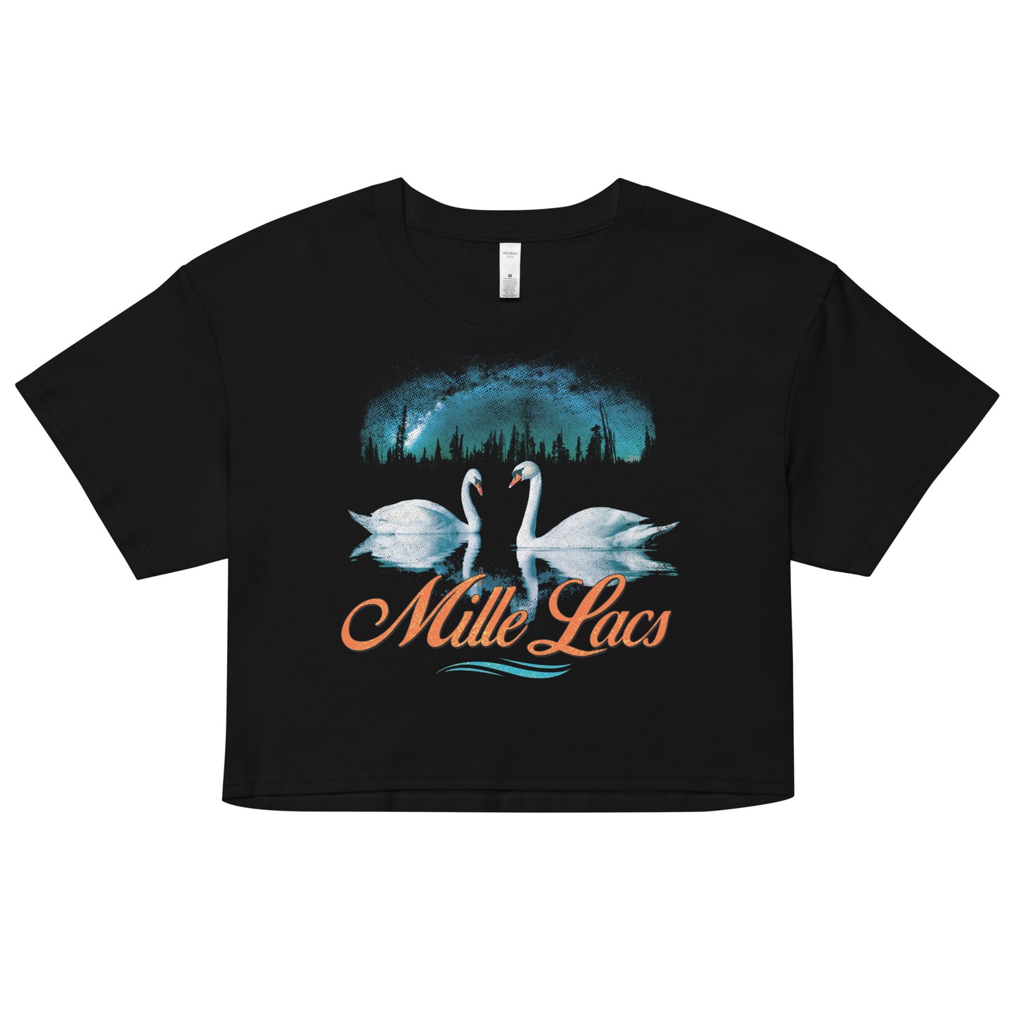 Big-Lake Birds Crop Top