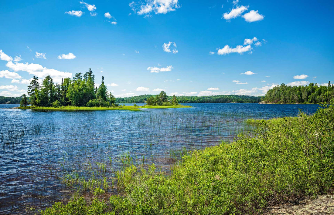 Your Guide To Visiting Chippewa National Forest