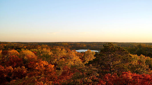 Aerial view of Itasca State Park in Autumn