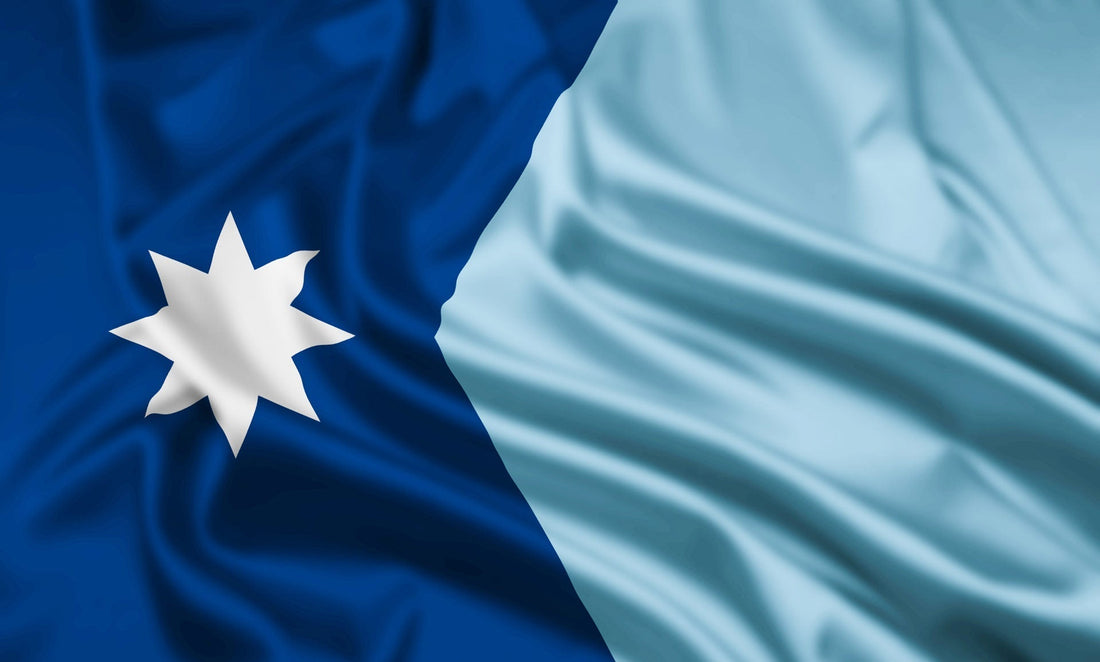 New Minnesota state flag waving