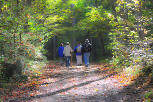 Group of hikers heading out on the Superior Hiking Trail (SHT)