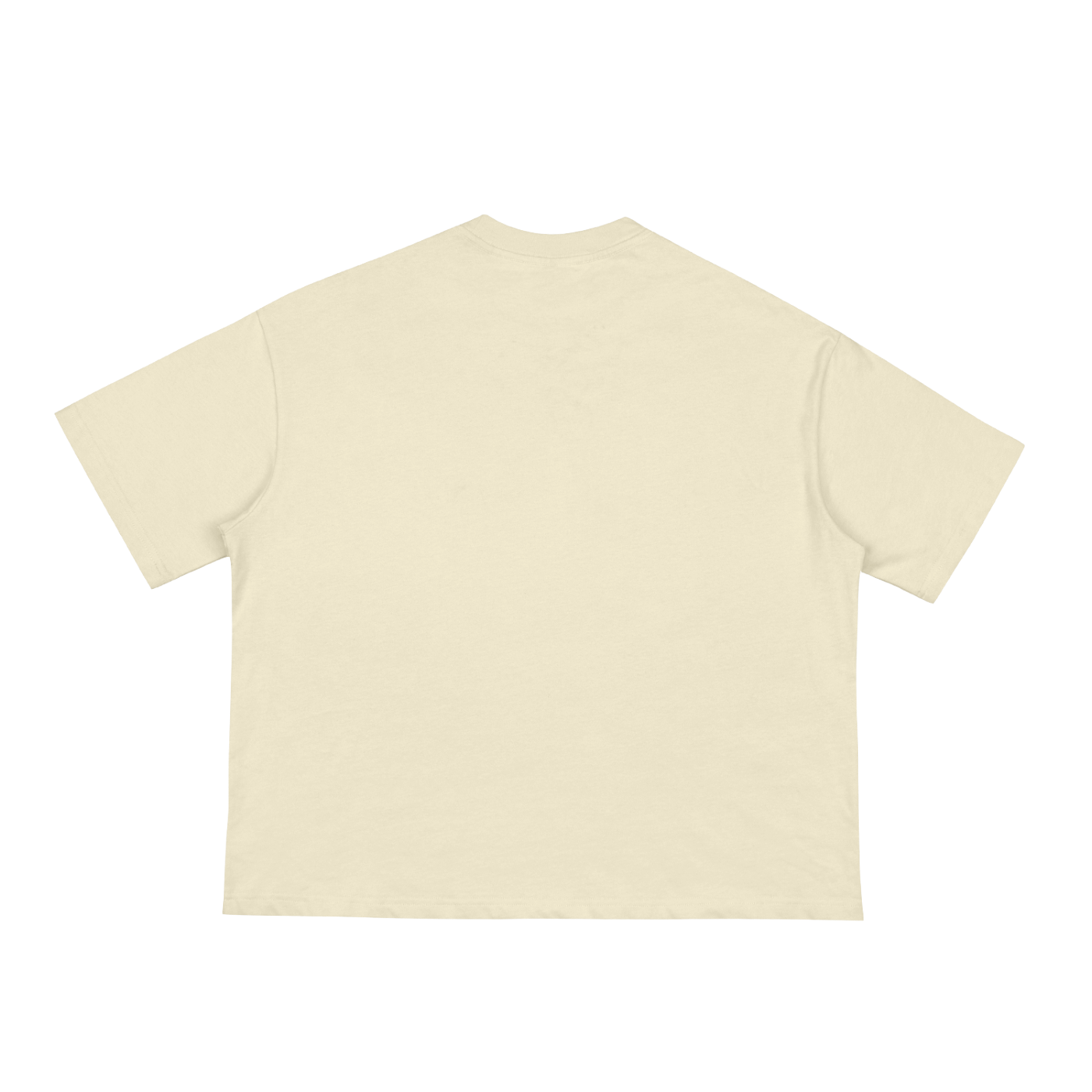 Northwoods Nirvana Classic Loose Boxy Tee