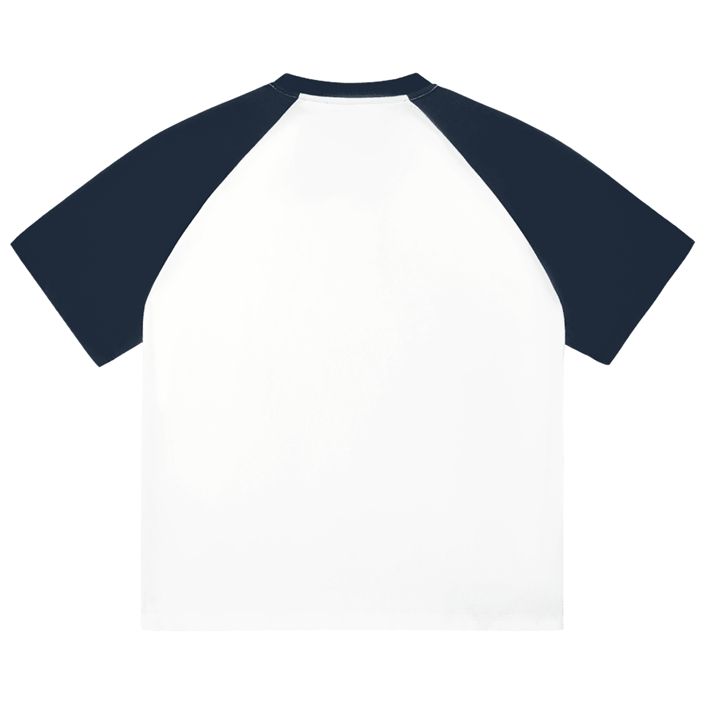 Lake Michigan Squall Raglan Sleeve Tee