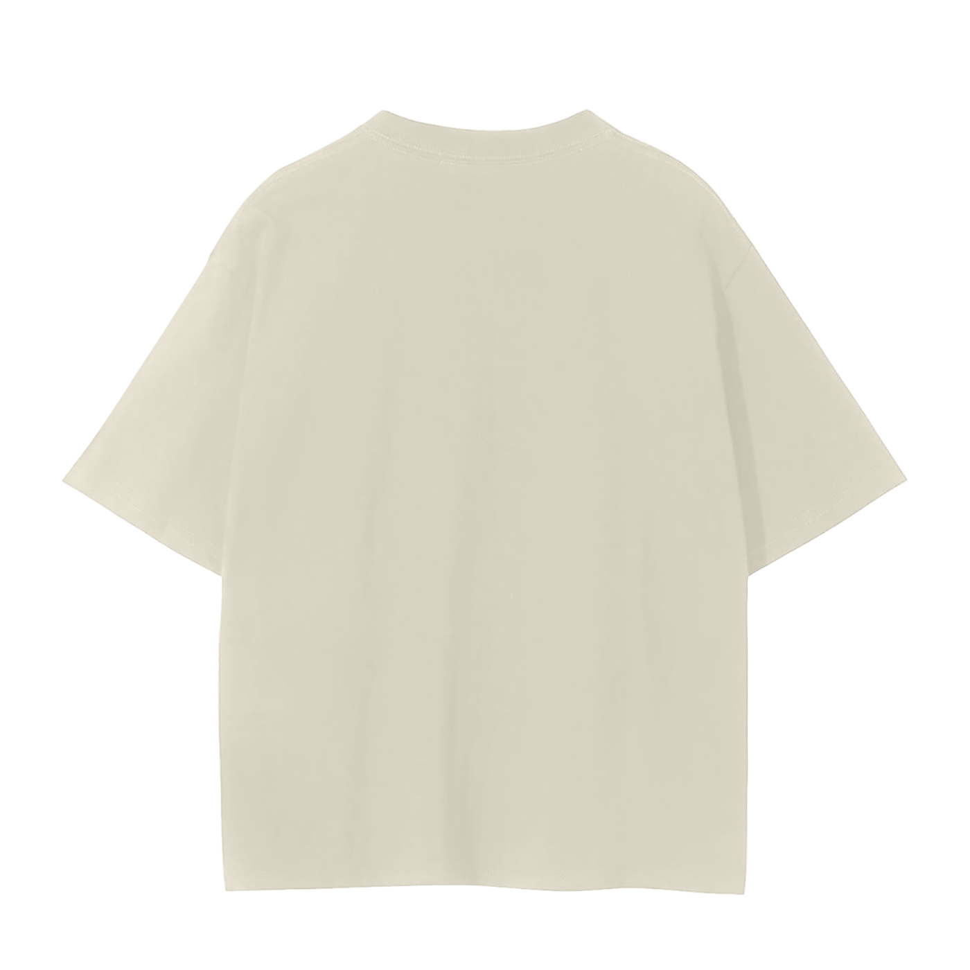 Lake Michigan Squall Regular Tee