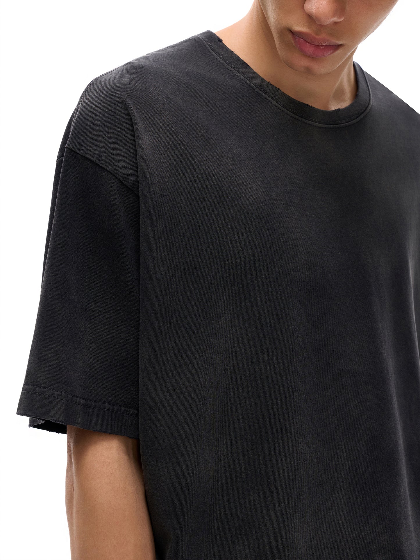 BWCA Lazer Moose Vintage Washed Hand-Frayed Tee
