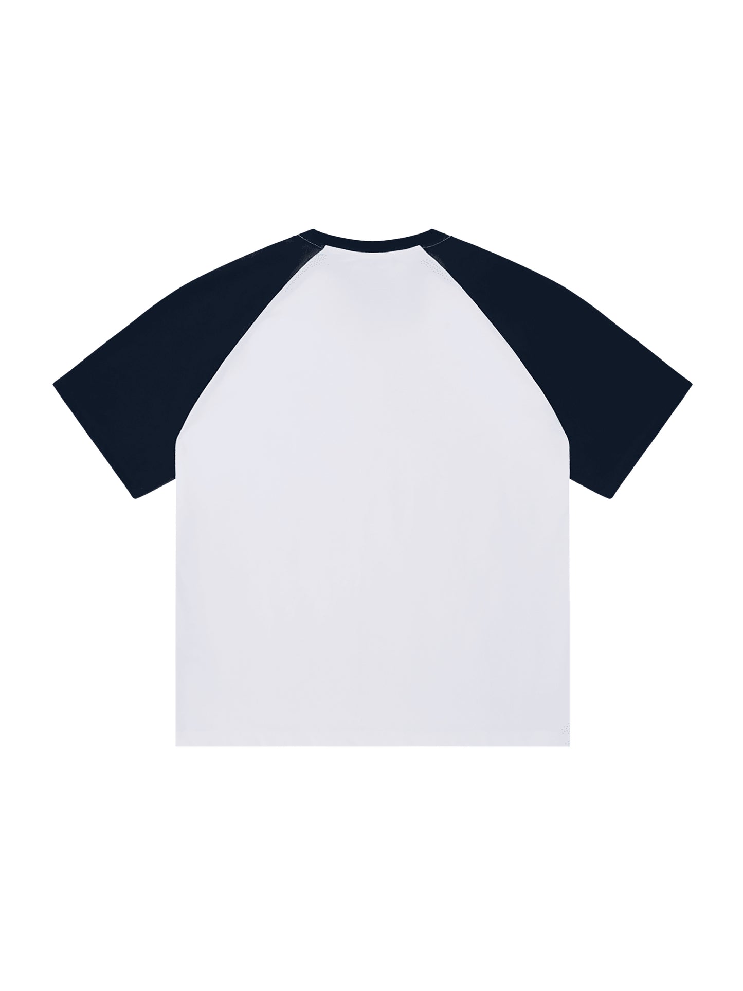 Lake Michigan Squall Raglan Sleeve Tee