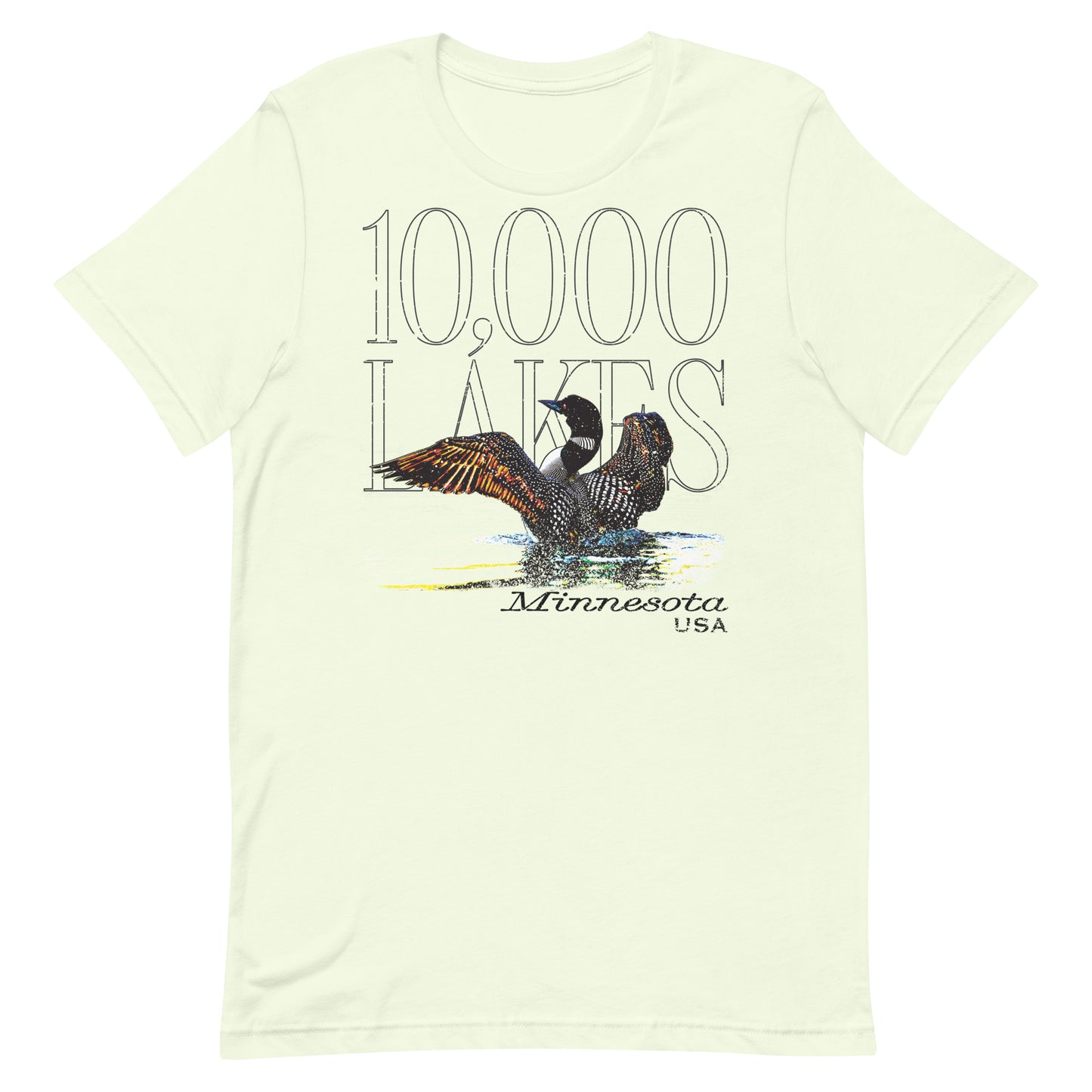 Loon & Lakes Tee