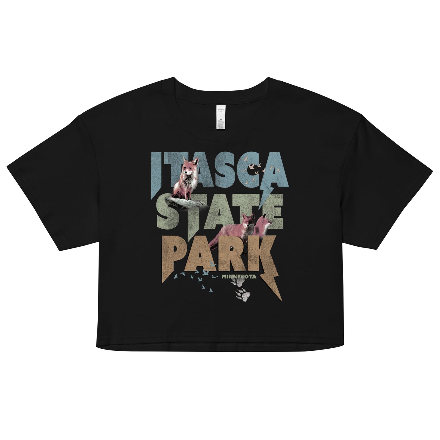 Itasca State Park Foxes Crop Top