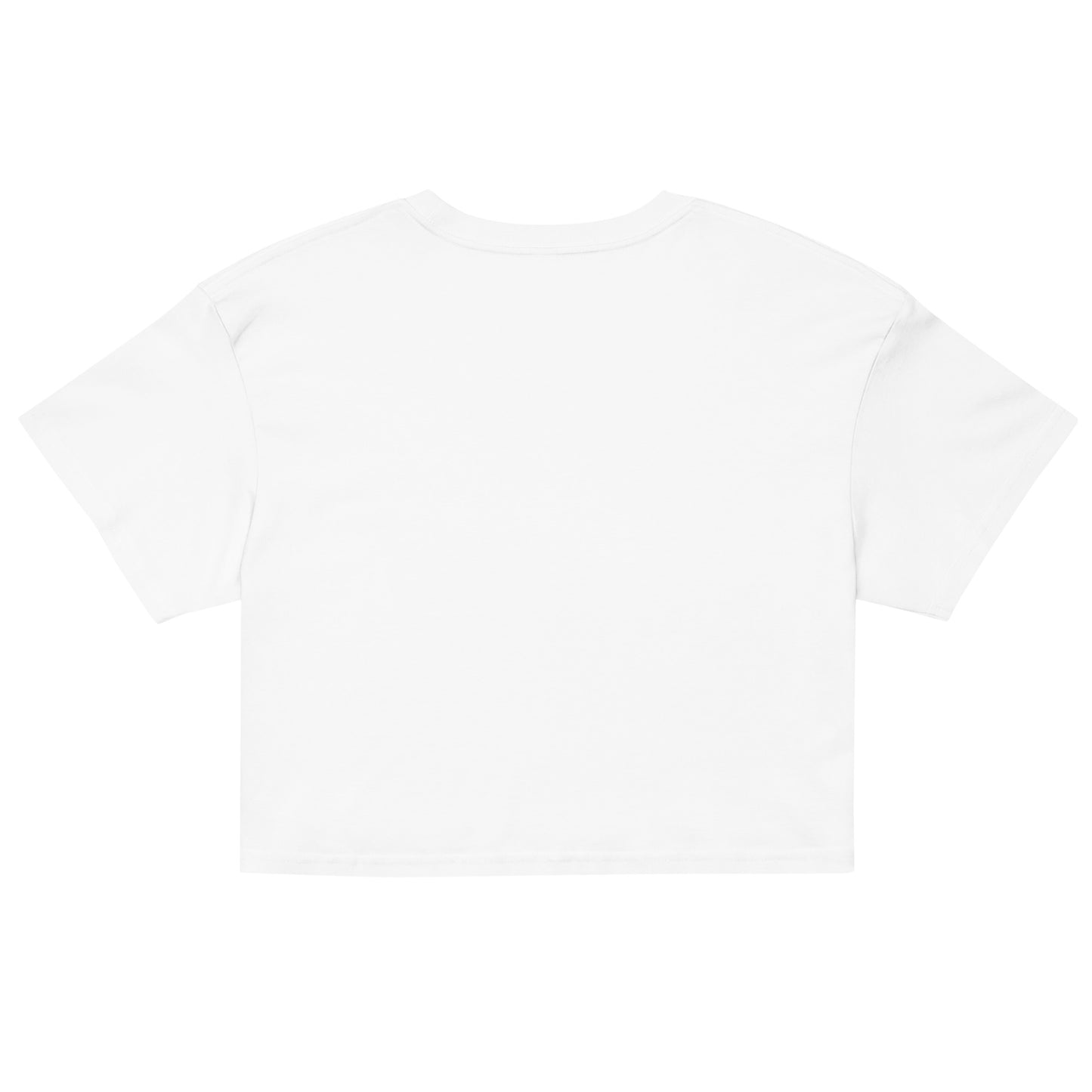 North Star State Flag Crop Top (Textured)